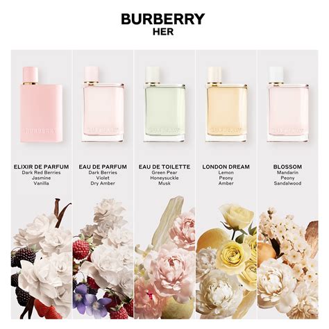 burberry her elixir noted